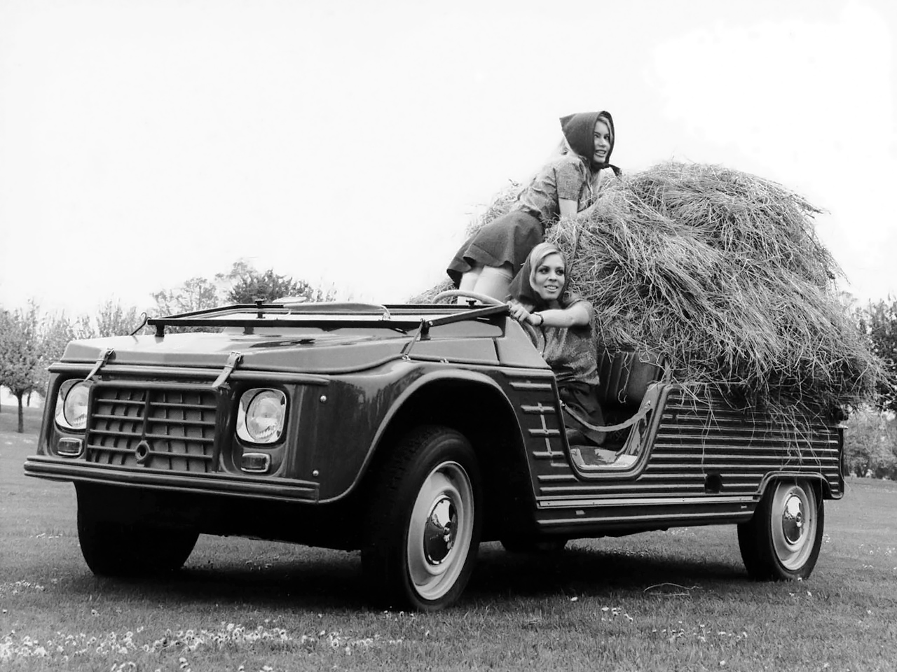 Dromadaire De Courses Modèle De Voiture Citroën Article : Citroën Méhari : l'âne devenu dromadaire !